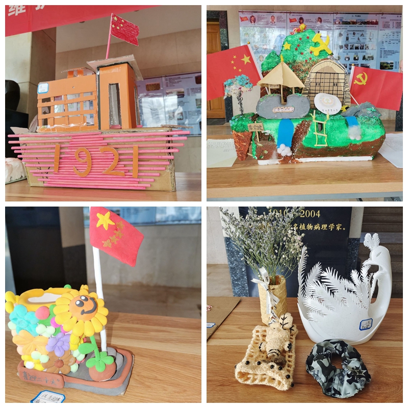 植保学院手工作品大赛圆满落幕-云南农业大学